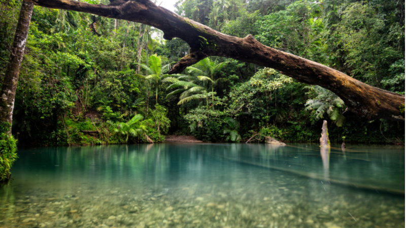 10 Things to Do in Queensland