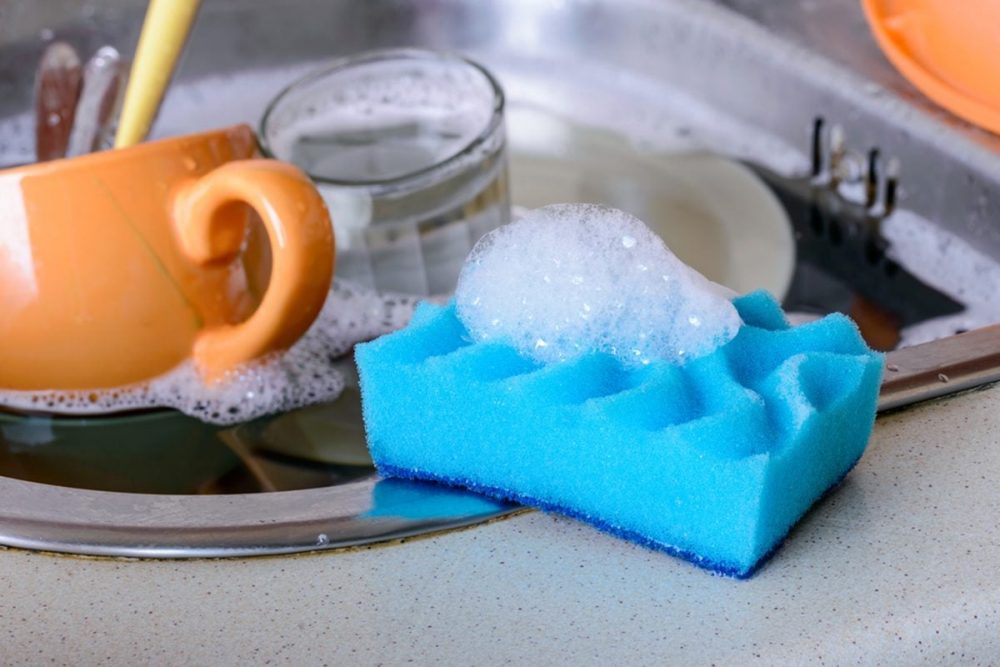 Why does the dish sponge smell? Health risks of dirty sponges