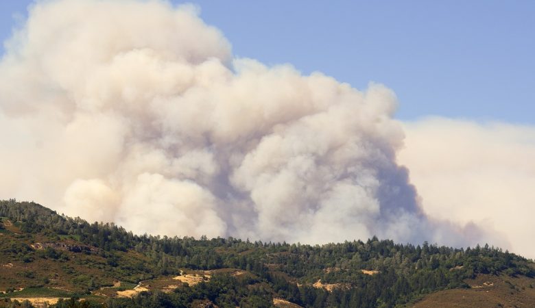 آتش‌سوزی‌های جنگلی: نحوه مقابله با دود بر کیفیت و سلامت هوا