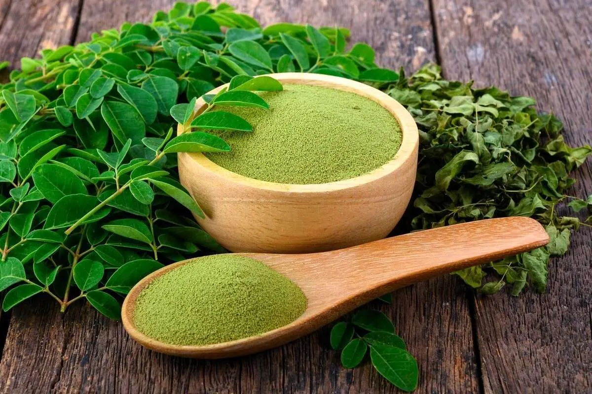 مورینگا؛ معجزه سبز آفریقایی و آسیایی